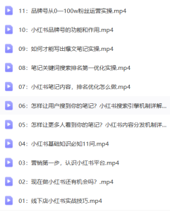 图片[3]爱宝资源库|资源教程|课程分享|网创项目|自学|成长|资料|自媒体|素材|抖音小红书基础入门到精通课程大合集，营销实战及社群，矩阵课程，各类玩法运营技巧大全